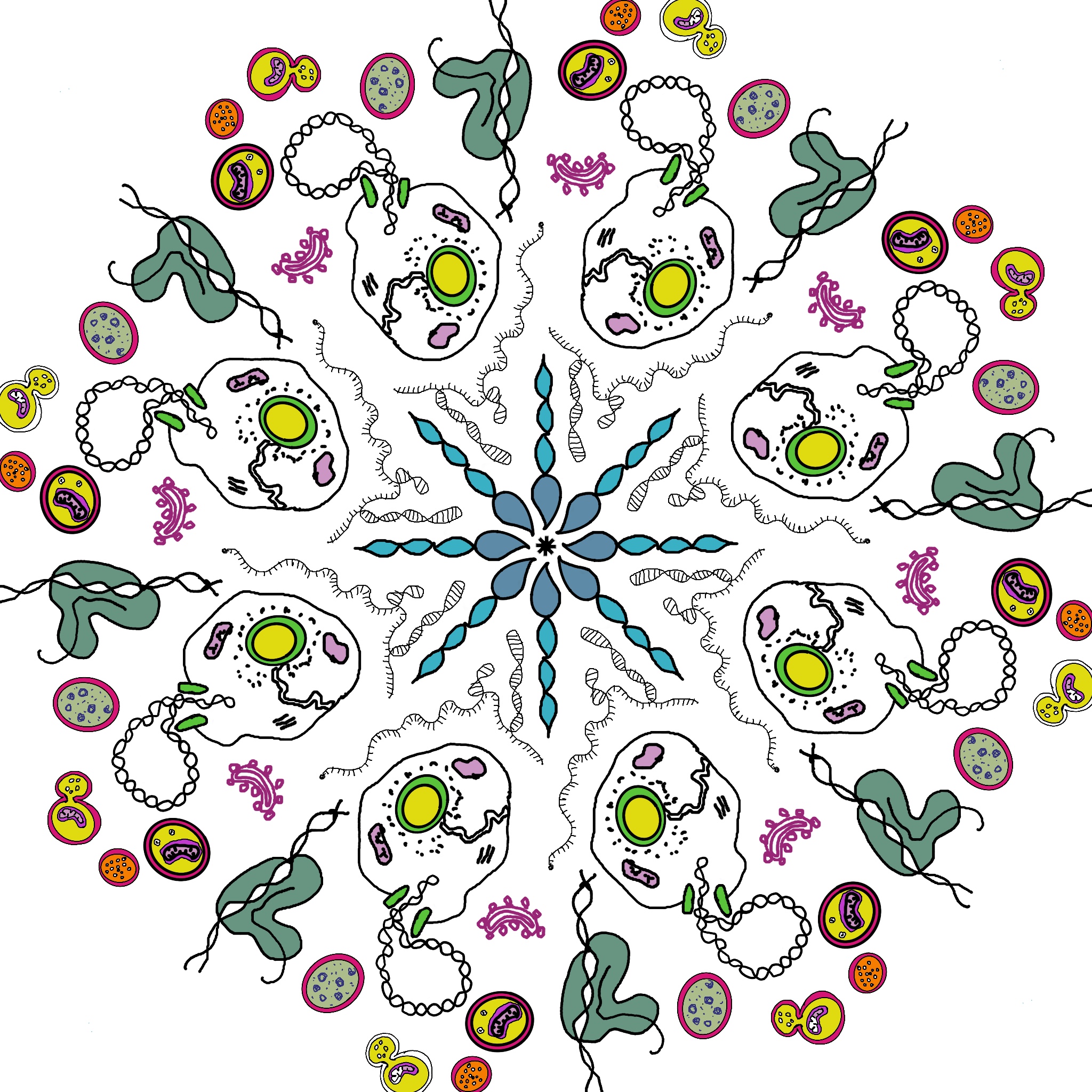Chemical Biology research